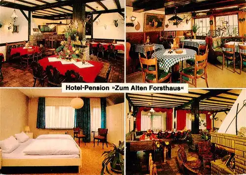 AK / Ansichtskarte  Reinhardswald Hotel Pension Zum Alten Forsthaus Gastraeume Zimmer Reinhardswald