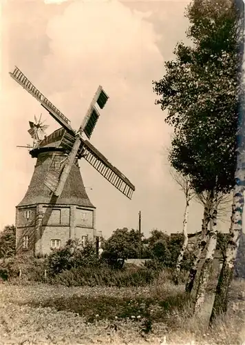 AK / Ansichtskarte  Graal-Mueritz_Ostseebad Windmuehle Graal-Mueritz_Ostseebad