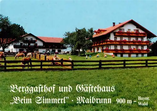 AK / Ansichtskarte  St_Englmar Berggasthof Pension Gaestehaus Beim Simmerl St_Englmar