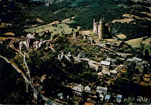 AK / Ansichtskarte  Najac_12_Aveyron Le chateau fort du XIIIe siecle Vue aerienne 