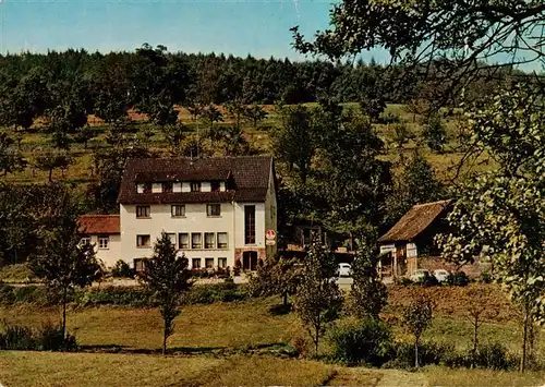 AK / Ansichtskarte  Annelsbach_Hoechst _Odenwald Pension Dornroeschen Gasthaus Café 