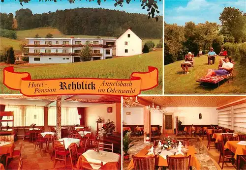 AK / Ansichtskarte 73883765 Annelsbach_Hoechst _Odenwald Hotel Pension Rehblick Gastraeume Liegewiese 