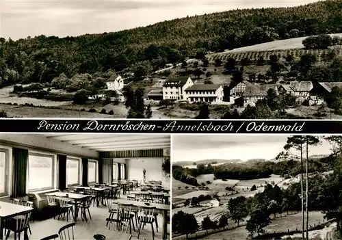 AK / Ansichtskarte 73883767 Annelsbach_Hoechst _Odenwald Panorama Pension Dornroeschchen Landschaft Bromsilber 