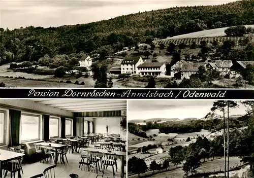 AK / Ansichtskarte  Annelsbach_Hoechst _Odenwald Panorama Pension Dornroeschchen Landschaft Bromsilber 