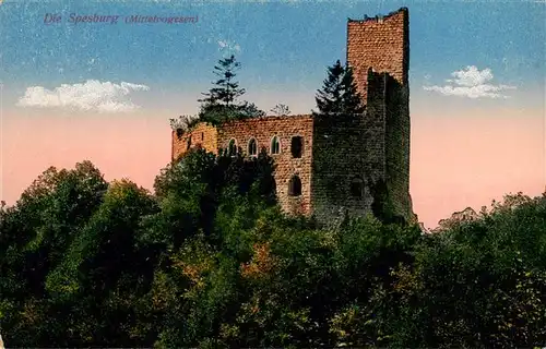AK / Ansichtskarte  Vogesen_Vosges_Region Die Spesburg Vogesen_Vosges_Region