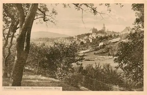 AK / Ansichtskarte  Cronberg_Kronberg_Taunus Blick vom Mammolshainer Weg 