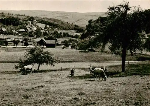 AK / Ansichtskarte  Vielbrunn Panorama Weidevieh Vielbrunn