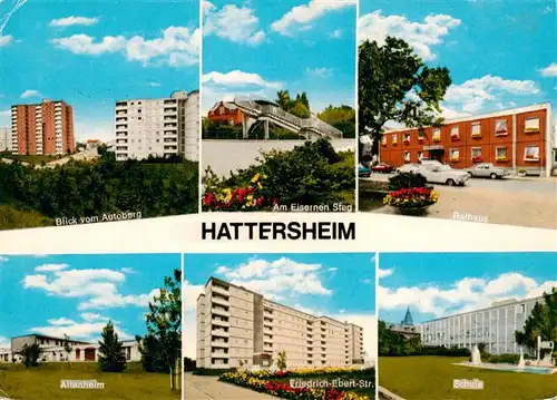 AK / Ansichtskarte 73884069 Hattersheim_Main Blick vom Autoberg Am Eisernen Steg Rathaus Altenheim Friedr Ebert Str Schule Hattersheim Main