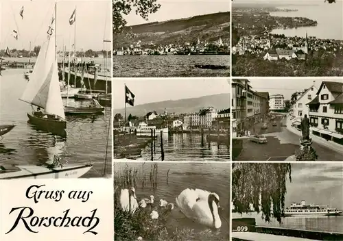 AK / Ansichtskarte  Rorschach_Bodensee_SG Bootshafen Panorama Ortspartien Schwaene Faehre 