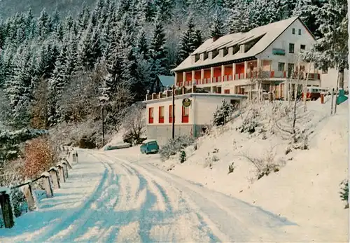 AK / Ansichtskarte  Dodenau_Battenberg_Eder Waldpension Ederblick 