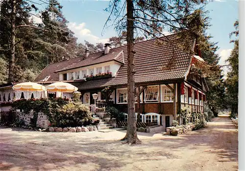 AK / Ansichtskarte  Luetjensee Forsthaus Seebergen Luetjensee