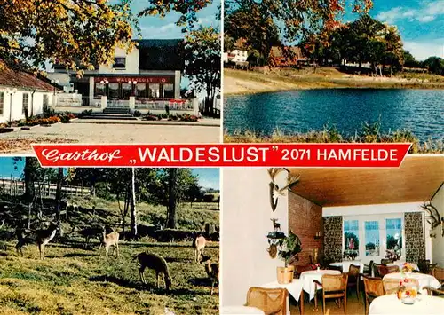 AK / Ansichtskarte 73884473 Hamfelde_Holstein Gasthof Waldeslust Gaststube Tierpark Seepartie Hamfelde_Holstein