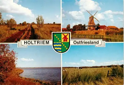 AK / Ansichtskarte  Holtriem Typische Landschaft des Holtriemer Raumes Windmuehle Viehweide Holtriem