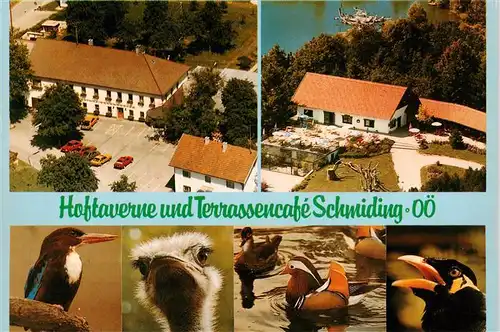 AK / Ansichtskarte  Krenglbach Gasthaus Restaurant Hoftaverne und Terrassencafe Schmiding Vogelpark Krenglbach