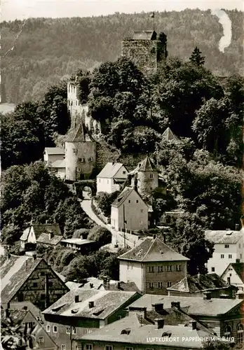 AK / Ansichtskarte  Pappenheim_Mittelfranken Burg Pappenheim Mittelfranken