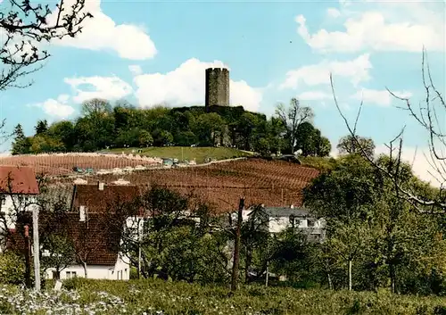 AK / Ansichtskarte 73885400 Steinsberg_Weiler_Sinsheim Kompass des Kraichgaues Teilansicht mit Burg Steinsberg_Weiler