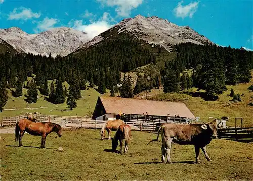 AK / Ansichtskarte  Leutasch_Tirol_AT Gaistalalm Gastwirtschaft Kleiner Wanner Hochwanner Predigtstuhl 