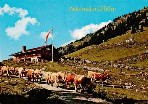 AK / Ansichtskarte  Thiersee_Tirol_AT Jausenstation Ackernalm Viehtrieb 