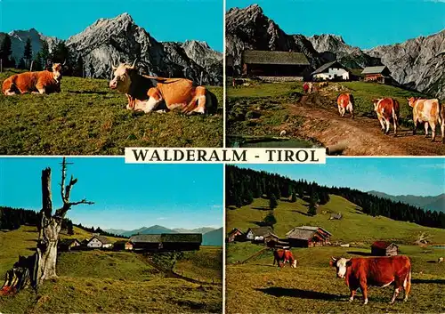 AK / Ansichtskarte 73885553 Walderalm_Gnadenwald_Tirol_AT Gasthaus Hinterhorn Alm Teilansichten 