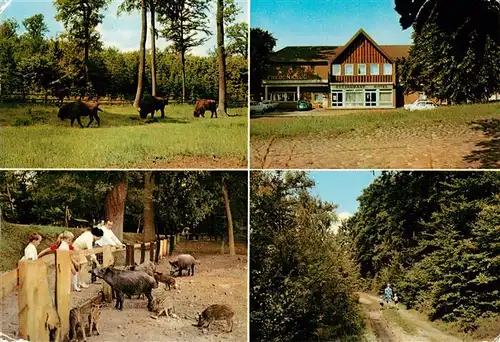 AK / Ansichtskarte  Fredeburg_Ratzeburg Hotel Restaurant Fredenkrug Wildpark Waldweg Fredeburg Ratzeburg