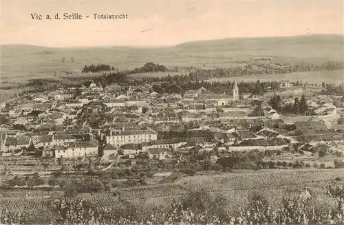 AK / Ansichtskarte  Vic_Seille_Vic-sur-Seille_57_Moselle Panorama 