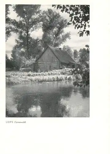 AK / Ansichtskarte 73885827 Leipe_Luebbenau_Spreewald Waldhuette 