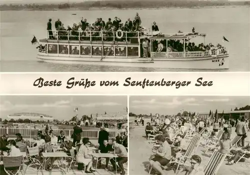 AK / Ansichtskarte  Senftenberger_See_Niederlausitz Personenschiff Nixe Strand 