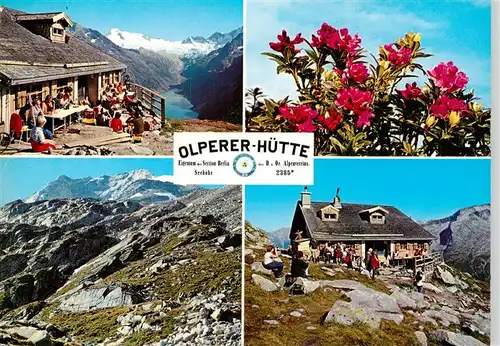 AK / Ansichtskarte 73885902 Olpererhuette_2389m_Schwaz_Tirol_AT Sonnenterrasse Panorama Alpenflora 