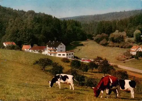 AK / Ansichtskarte  Gras-Ellenbach_Grasellenbach Cafe Pension Gassbachtal 