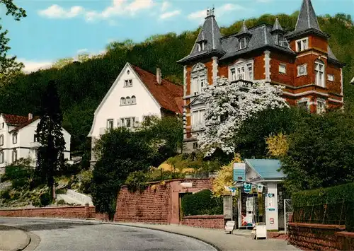 AK / Ansichtskarte  Bad_Bergzabern Kurtalstrasse Bad_Bergzabern