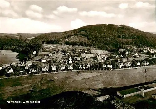 AK / Ansichtskarte  Herrenalb_Bad_Herrenalb Panorama Ochsenaecker 