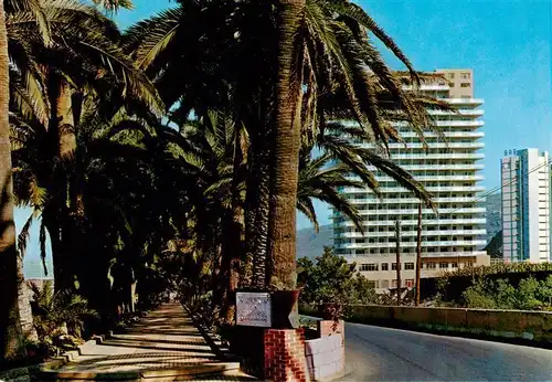 AK / Ansichtskarte 73886528 Puerto-de-la-Cruz_Tenerife_ES Hotel San Felipe Palmenallee 