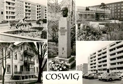 AK / Ansichtskarte  Coswig_Sachsen Ortsansichten Thaelmann Denkmal Kaufhalle Wohnblocks Coswig Sachsen