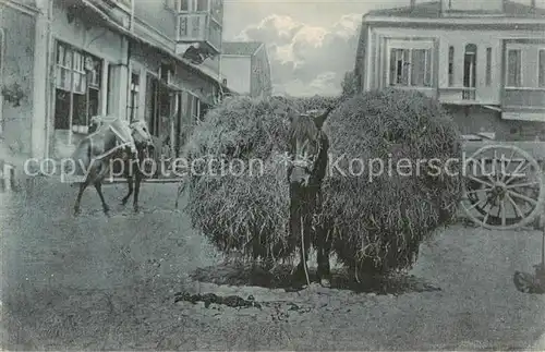 AK / Ansichtskarte 73886834 Landwirtschaft Pferd 