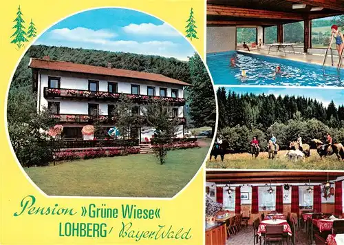 AK / Ansichtskarte  Lohberg_Lam Pension Gruene Wiese Hallenbad Reiter Gastraum Lohberg_Lam