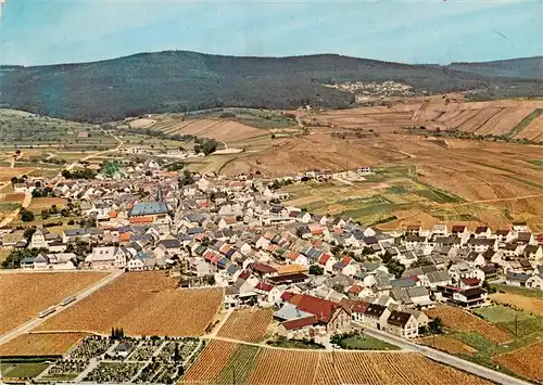 AK / Ansichtskarte  Hallgarten_Rheingau Fliegeraufnahme Hallgarten Rheingau