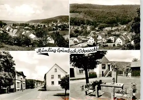 AK / Ansichtskarte  Muemling-Grumbach_Odenwald Panorama Teilansichten 