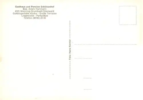 AK / Ansichtskarte  Muemling-Grumbach_Odenwald Gasthaus Pension Schuetzenhof Restaurant Garten Baumbluete 