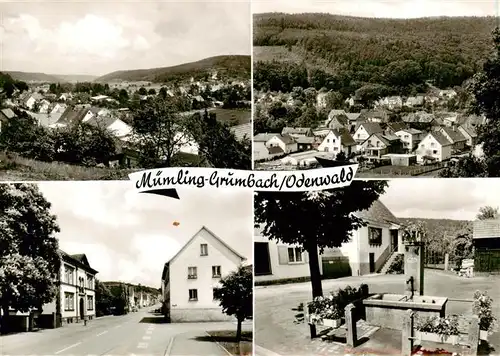 AK / Ansichtskarte  Muemling-Grumbach_Odenwald Teilansichten Panorama Brunnen 