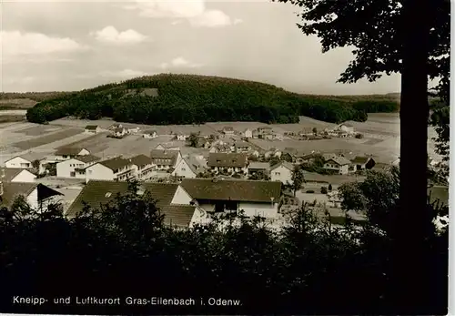 AK / Ansichtskarte  Gras-Ellenbach_Grasellenbach Panorama Kneipp- und Luftkurort 