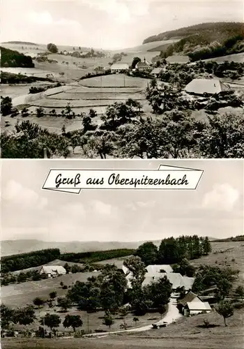 AK / Ansichtskarte 73887597 Oberspitzenbach_Oberwinden_Elztal Gasthaus zum Hirschen Panorama 