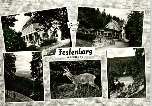 AK / Ansichtskarte 73887638 Festenburg_Clausthal-Zellerfeld_Oberharz Gasthaus Panorama Reh 