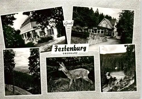 AK / Ansichtskarte  Festenburg_Clausthal-Zellerfeld_Oberharz Gasthaus Panorama Reh 