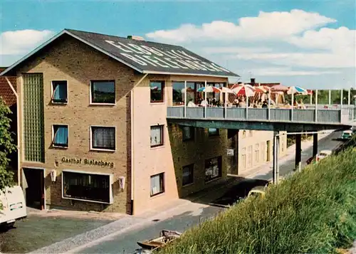 AK / Ansichtskarte  Bielenberg Restaurant und Ballhaus Zum Elbblick 