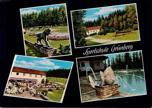 AK / Ansichtskarte 73887793 Gruenberg__Hessen Sportschule Gruenberg Terrasse Schwimmbad mit Wasserspeier Park 