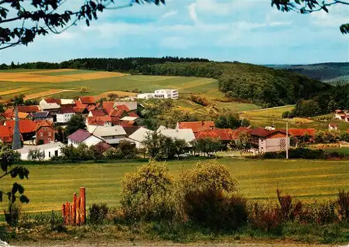 AK / Ansichtskarte  Bodenrod_Butzbach Panorama Familienlandheim der Heilandsgemeinde 