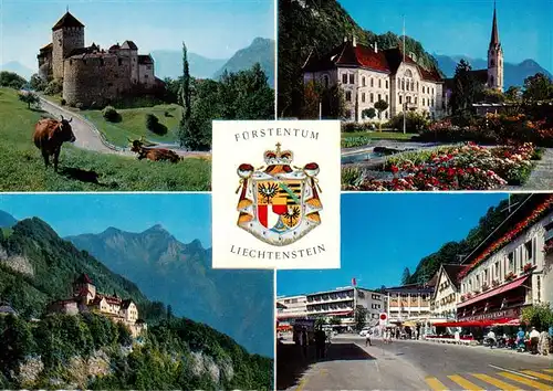 AK / Ansichtskarte 73887935 Vaduz_Liechtenstein_FL Schloss Landesfuerstliche Residenz Strassenpartie 