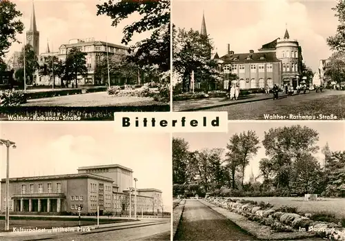 AK / Ansichtskarte  Bitterfeld Walther Rathenau Strase Kulturpalast Wilhelm Pieck Im Stadtpark Bitterfeld