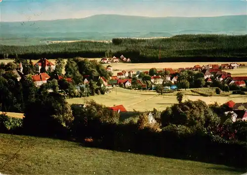 AK / Ansichtskarte  Friedenfels_Oberpfalz_Bayern Panorama Luftkurort 