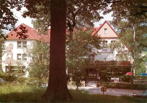 AK / Ansichtskarte  Horn-Bad_Meinberg Kurhotel Baerenstein im Teutoburger Wald Horn-Bad_Meinberg